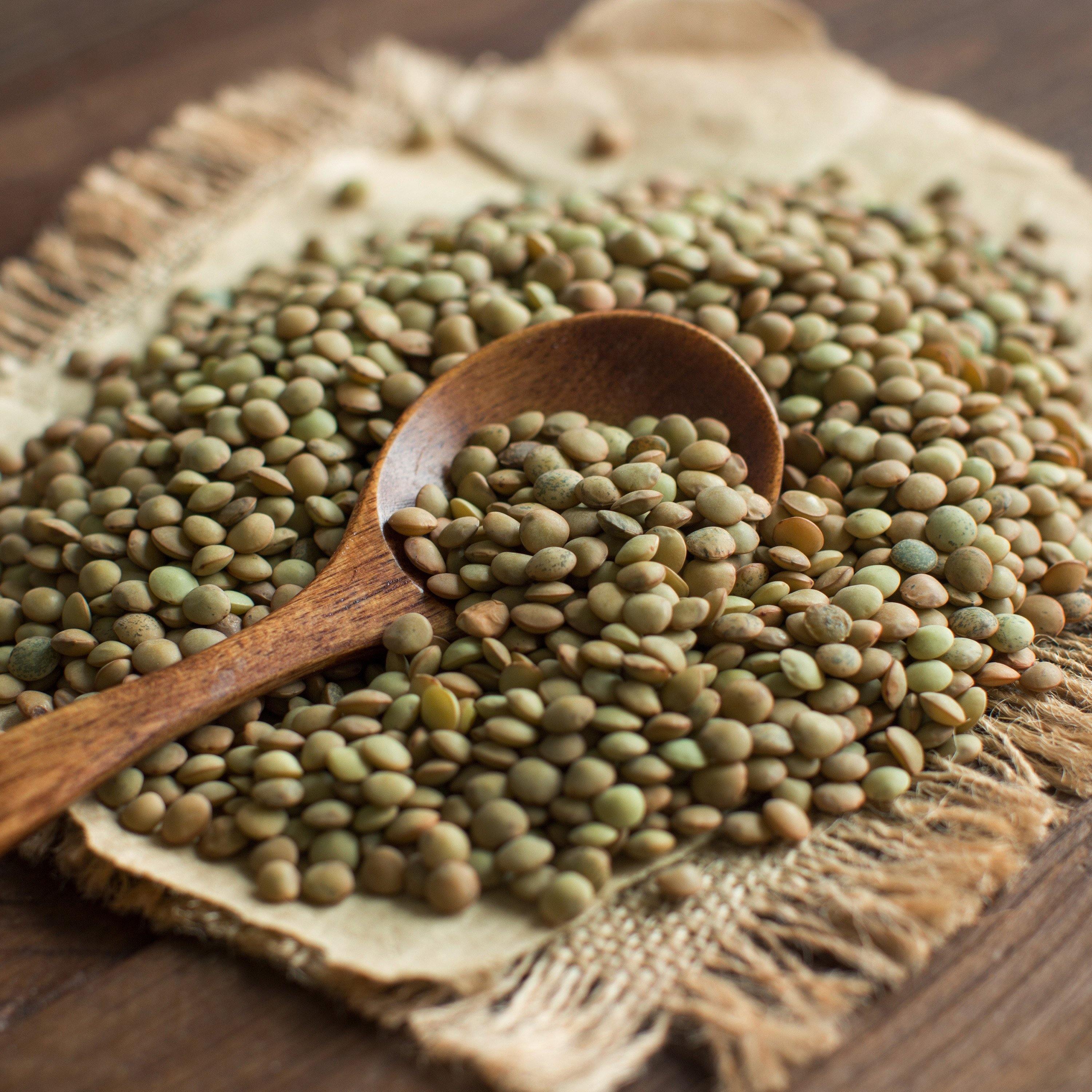 Emergency Essentials® Lentils Large #10 Can - Image 7