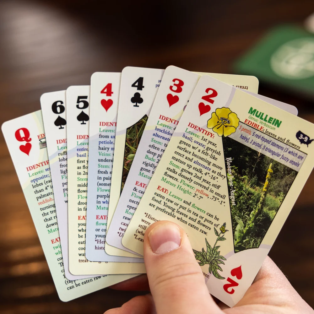Edible Wild Foods Playing Cards - Image 4
